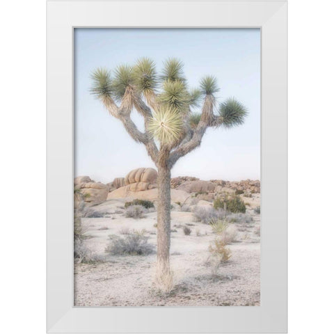 Joshua Tree National Park II White Modern Wood Framed Art Print by Majchrowicz, Alan