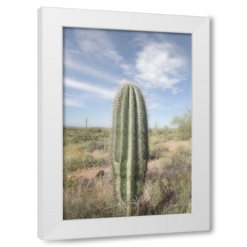 Saguaro White Modern Wood Framed Art Print by Majchrowicz, Alan