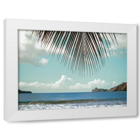 Palm Seashore White Modern Wood Framed Art Print by Goldstein, Ed