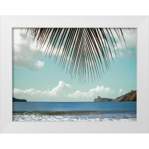 Palm Seashore White Modern Wood Framed Art Print by Goldstein, Ed