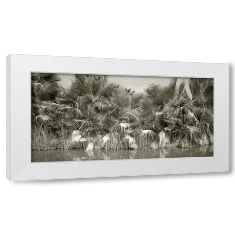 Water Palms White Modern Wood Framed Art Print by Goldstein, Ed