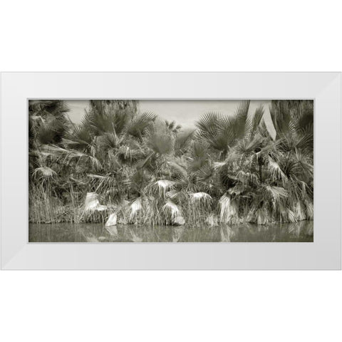 Water Palms White Modern Wood Framed Art Print by Goldstein, Ed