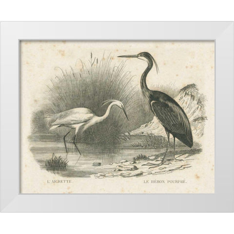 French Birds II White Modern Wood Framed Art Print by Wild Apple Portfolio