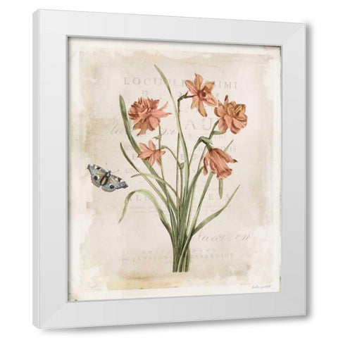 Antiquarian Blooms V White Modern Wood Framed Art Print by Pertiet, Katie