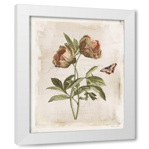 Antiquarian Blooms VI White Modern Wood Framed Art Print by Pertiet, Katie