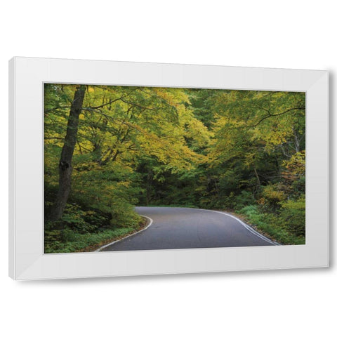 Smugglers Notch Road White Modern Wood Framed Art Print by Majchrowicz, Alan