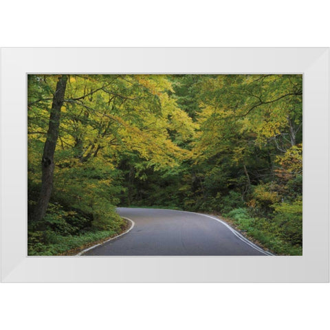 Smugglers Notch Road White Modern Wood Framed Art Print by Majchrowicz, Alan