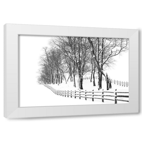 Winter Wonderland White Modern Wood Framed Art Print by Aledanda