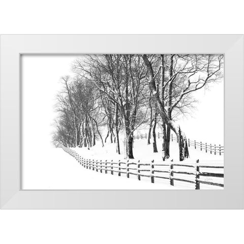 Winter Wonderland White Modern Wood Framed Art Print by Aledanda