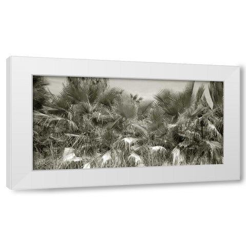 Water Palms Crop White Modern Wood Framed Art Print by Goldstein, Ed
