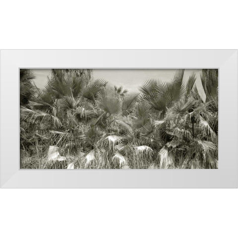 Water Palms Crop White Modern Wood Framed Art Print by Goldstein, Ed