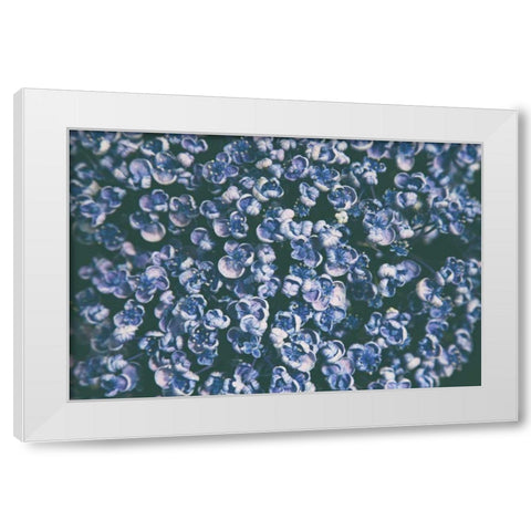 Lilac Closeup White Modern Wood Framed Art Print by Aledanda