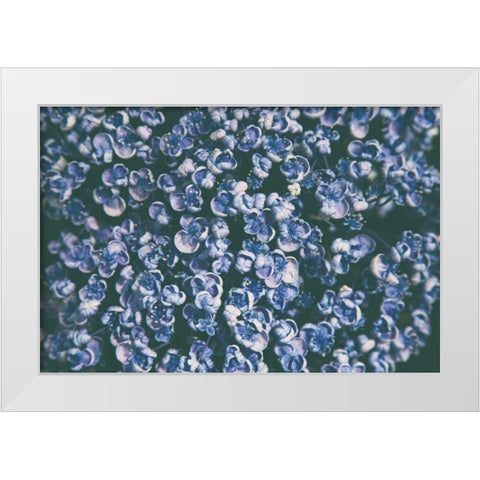 Lilac Closeup White Modern Wood Framed Art Print by Aledanda