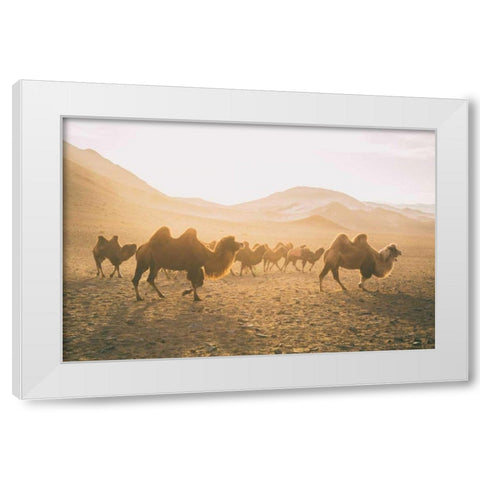 Camels on the Move White Modern Wood Framed Art Print by Aledanda