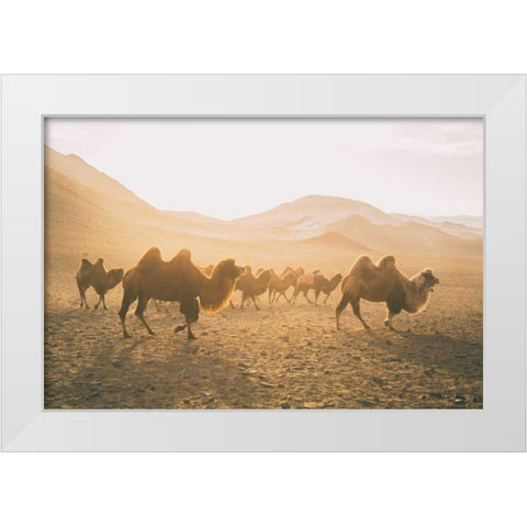 Camels on the Move White Modern Wood Framed Art Print by Aledanda