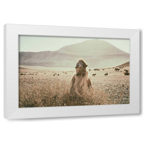 Desert Camel White Modern Wood Framed Art Print by Aledanda