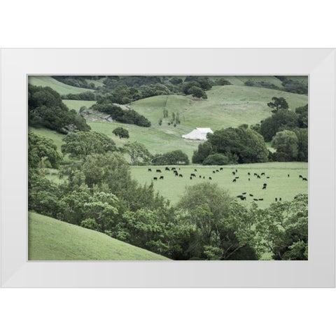 Marin California Ranch White Modern Wood Framed Art Print by Majchrowicz, Alan