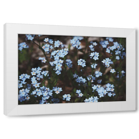 Forget Me Nots II White Modern Wood Framed Art Print by Marshall, Laura