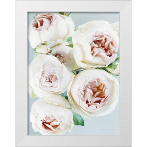 Early David Austin Roses White Modern Wood Framed Art Print by Catterall, Elise