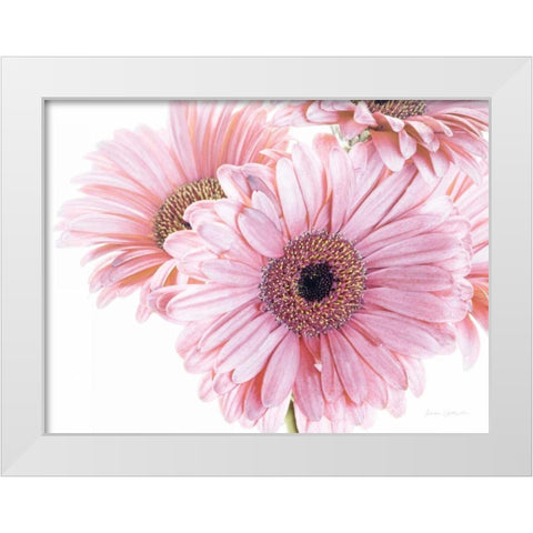 Pastel Gerbera Daisies White Modern Wood Framed Art Print by Catterall, Elise
