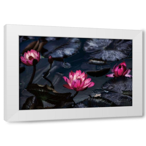 Waterlilies White Modern Wood Framed Art Print by Catterall, Elise