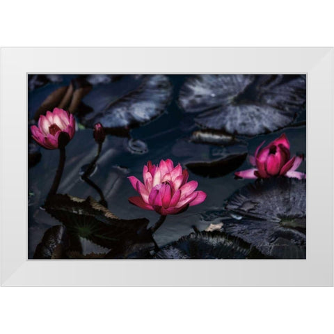 Waterlilies White Modern Wood Framed Art Print by Catterall, Elise