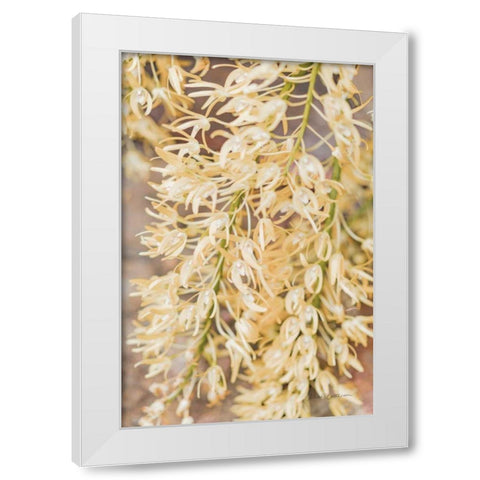Orchid Detail White Modern Wood Framed Art Print by Catterall, Elise