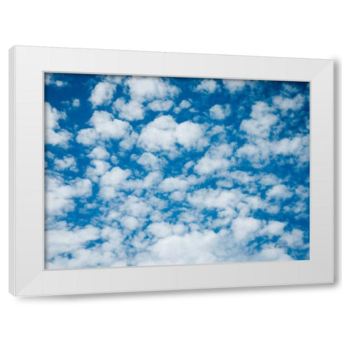 Powder Puff Skies White Modern Wood Framed Art Print by Goldstein, Ed