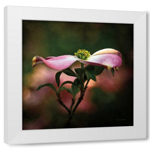 Pink Dogwood I White Modern Wood Framed Art Print by Van Swearingen, Debra