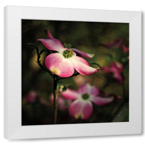 Pink Dogwood II White Modern Wood Framed Art Print by Van Swearingen, Debra