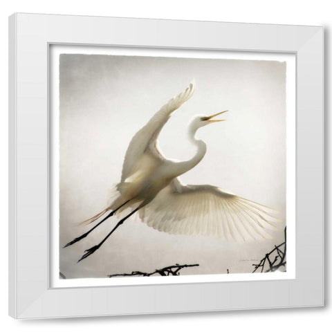Emergence White Modern Wood Framed Art Print by Van Swearingen, Debra