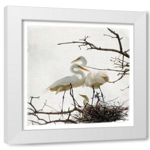 Devotion White Modern Wood Framed Art Print by Van Swearingen, Debra