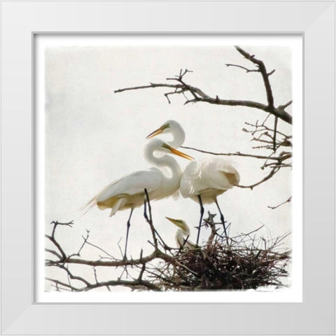 Devotion White Modern Wood Framed Art Print by Van Swearingen, Debra