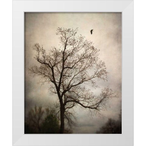 The Flyover White Modern Wood Framed Art Print by Van Swearingen, Debra