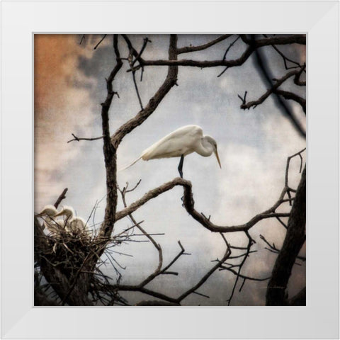 Respite White Modern Wood Framed Art Print by Van Swearingen, Debra