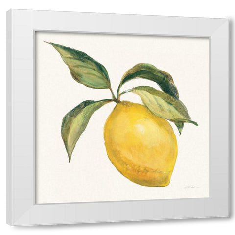 Le Citron on Cream White Modern Wood Framed Art Print by Vassileva, Silvia