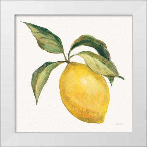Le Citron on Cream White Modern Wood Framed Art Print by Vassileva, Silvia