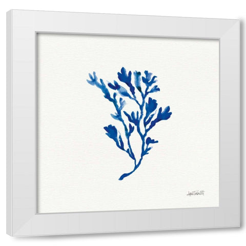 Deep Sea Botanical II White Modern Wood Framed Art Print by Tavoletti, Anne