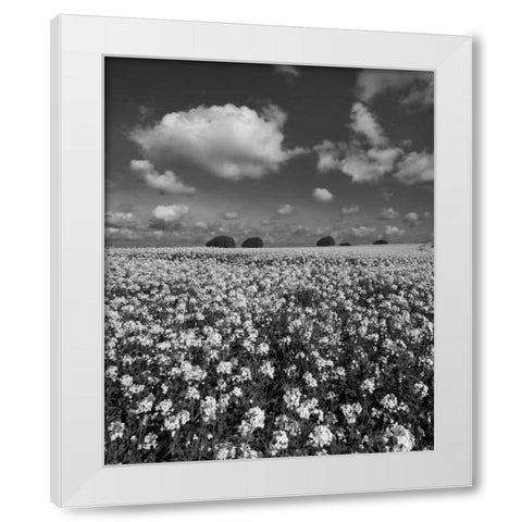 Yellow Fields BW White Modern Wood Framed Art Print by Eichman, Andre
