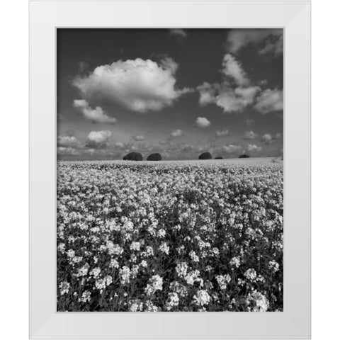 Yellow Fields BW White Modern Wood Framed Art Print by Eichman, Andre