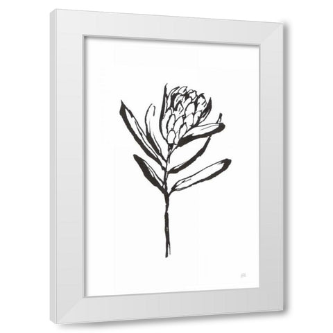 Line Protea I White Modern Wood Framed Art Print by Paschke, Chris