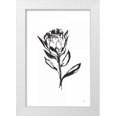Line Protea II White Modern Wood Framed Art Print by Paschke, Chris