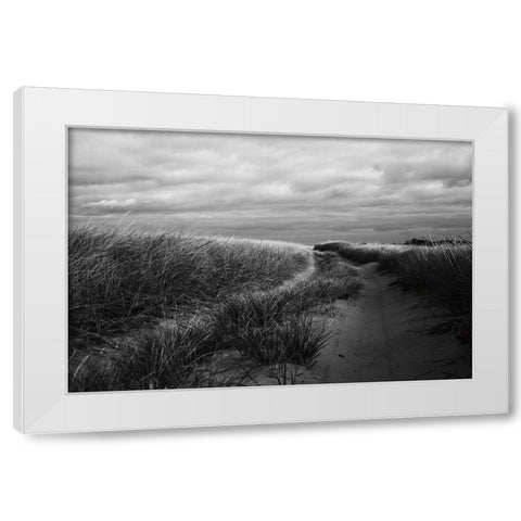 Beach Grasses White Modern Wood Framed Art Print by Aledanda