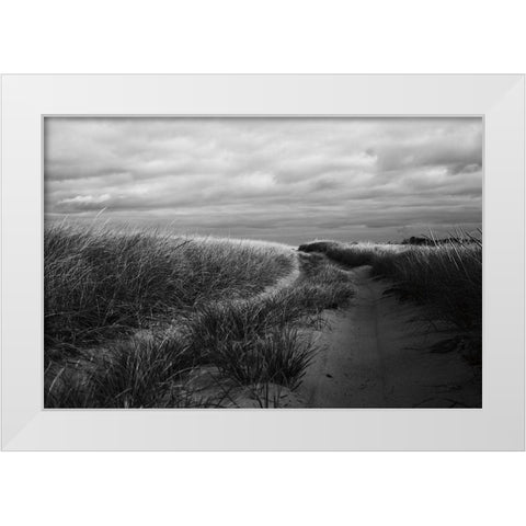 Beach Grasses White Modern Wood Framed Art Print by Aledanda