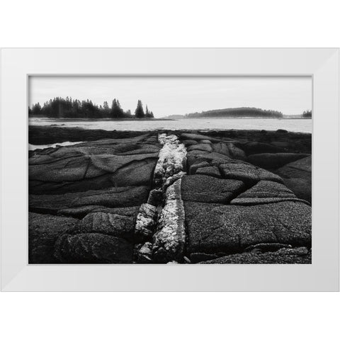 Fissures in Maine White Modern Wood Framed Art Print by Aledanda