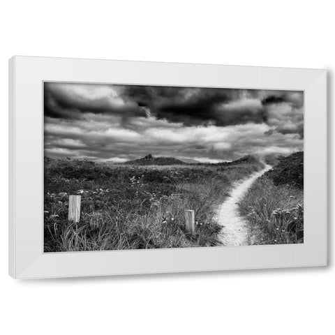Nantucket Pathway White Modern Wood Framed Art Print by Aledanda