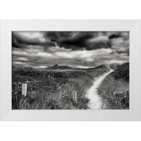 Nantucket Pathway White Modern Wood Framed Art Print by Aledanda