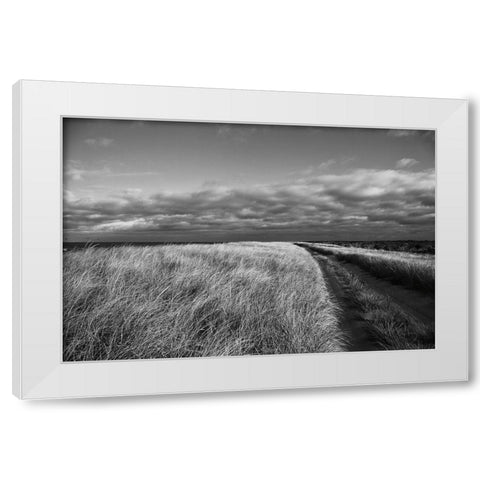 Road to the Beach White Modern Wood Framed Art Print by Aledanda
