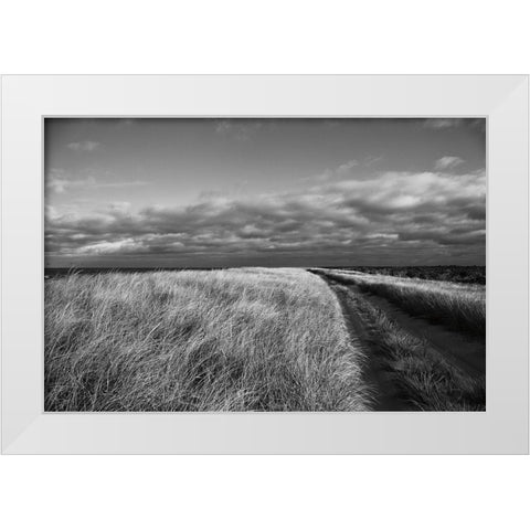 Road to the Beach White Modern Wood Framed Art Print by Aledanda