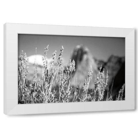 Canyon Sagebrush White Modern Wood Framed Art Print by Marshall, Laura